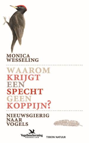 Cover of the book Waarom krijgt een specht geen koppijn by Bernhard Reitsma