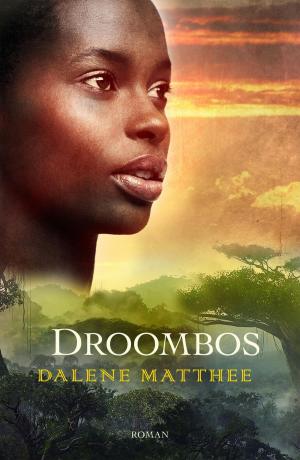 Cover of the book Droombos by Jos van Manen Pieters