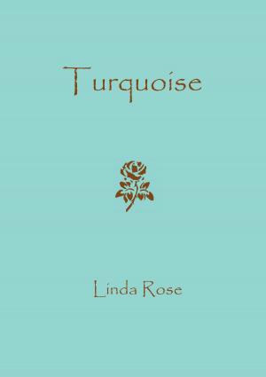 Cover of the book Turquoise by Kay Schornstheimer