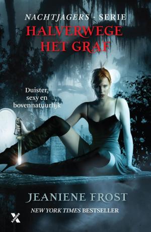 Cover of the book Halverwege het graf by Lucinda Riley