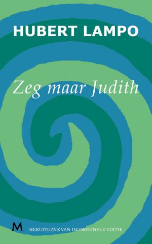 Cover of the book Zeg maar Judith by David Nicholls