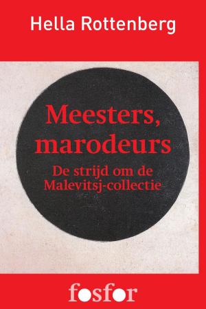 Cover of the book Meesters, marodeurs by Rob Ruggenberg