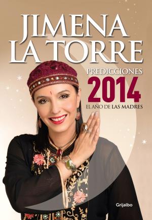 Cover of the book Predicciones 2014 by Paola Kullock