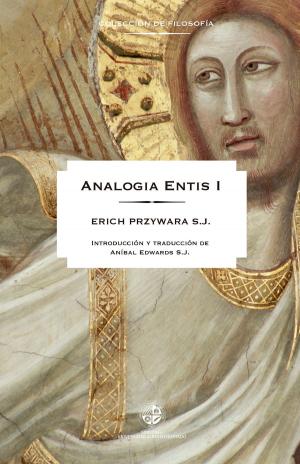 Cover of the book Analogía Entis by Lucero de Vivanco
