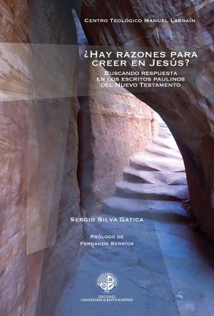 Cover of the book Hay razones para creer en Jesús by Luis Garrido Soto