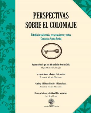 Cover of the book Perspectivas sobre el coloniaje by Fernando Montes