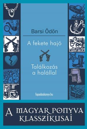 Cover of the book A fekete hajó - Találkozás a halállal by Honfi György