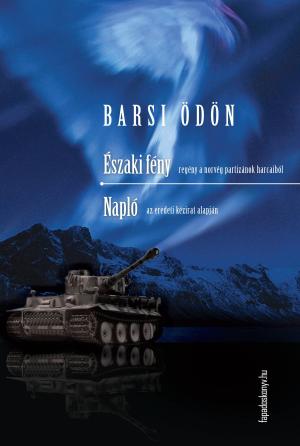 Cover of the book Északi fény, Napló by Rubynnia Blues