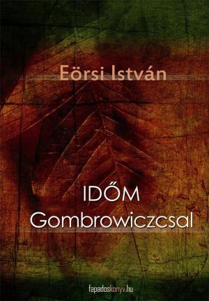 Cover of the book Időm Gombroviczcsal by Jules Verne