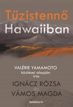 Cover of the book Tűzistennő Hawaiiban by Henry James
