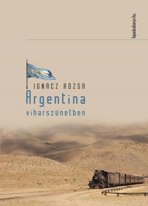 Cover of the book Argentína viharszünetben by Flax Perry