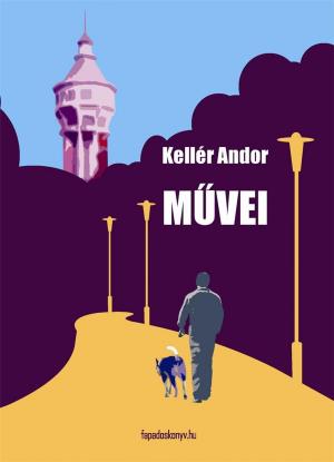 Cover of the book Kellér Andor művei by Robert Louis Stevenson