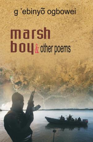 Cover of the book Marsh Boy and other Poems by Maggie Stewart