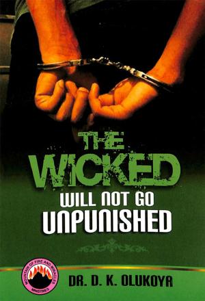 Cover of the book The Wicked Will Not Go Unpunished by Dr. D. K. Olukoya