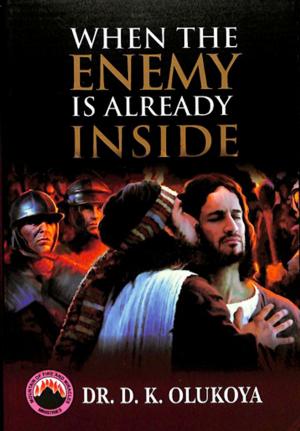 Cover of the book When the Enemy is Already Inside by Dr. D. K. Olukoya
