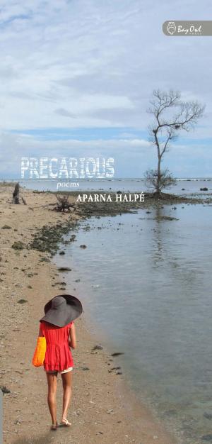 Cover of the book Precarious by Chandani Lokugé