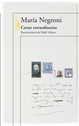 Cover of the book Cartas extraordinarias by Silvina Heguy