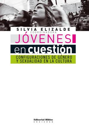 Cover of the book Jóvenes en cuestión by Federico Baeza