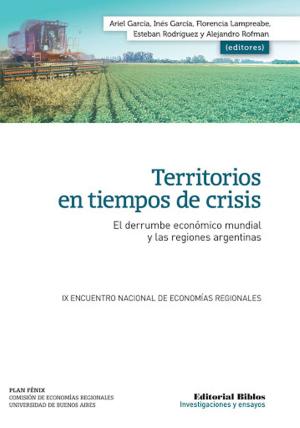 Cover of the book Territorios en tiempos de crisis by Juan Besse, María Graciela Rodríguez