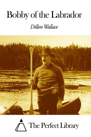 Book cover of Bobby of the Labrador