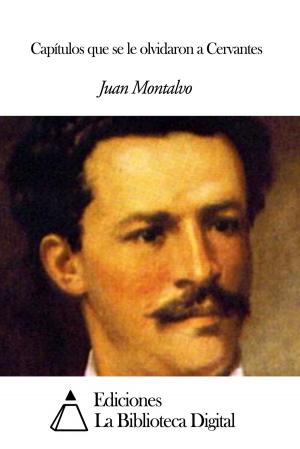 Cover of the book Capítulos que se le olvidaron a Cervantes by Olegario Víctor Andrade