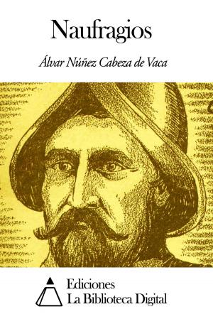 Cover of the book Naufragios by Concepción Arenal