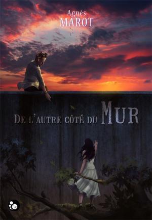 Cover of the book De l'autre côté du mur, 1 by Mathieu Guibé