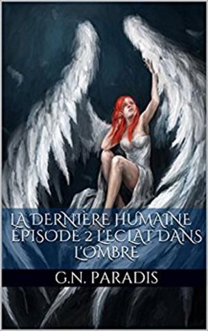 Book cover of L'éclat dans l'ombre