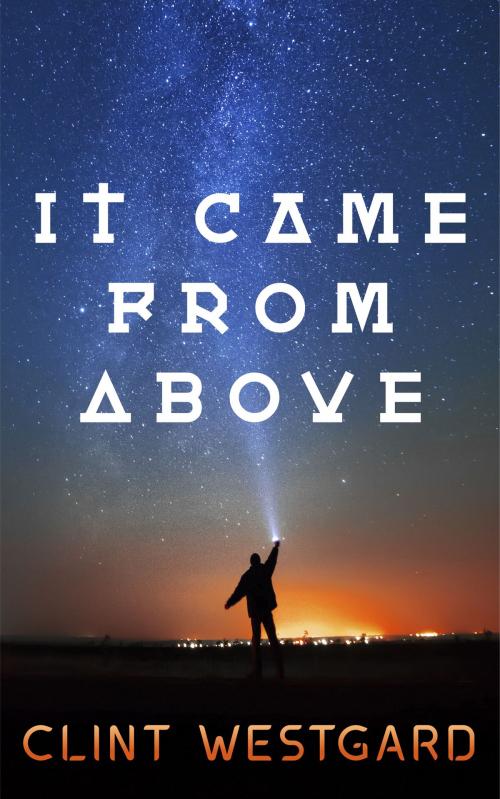 Cover of the book It Came From Above by Clint Westgard, Lost Quarter Books