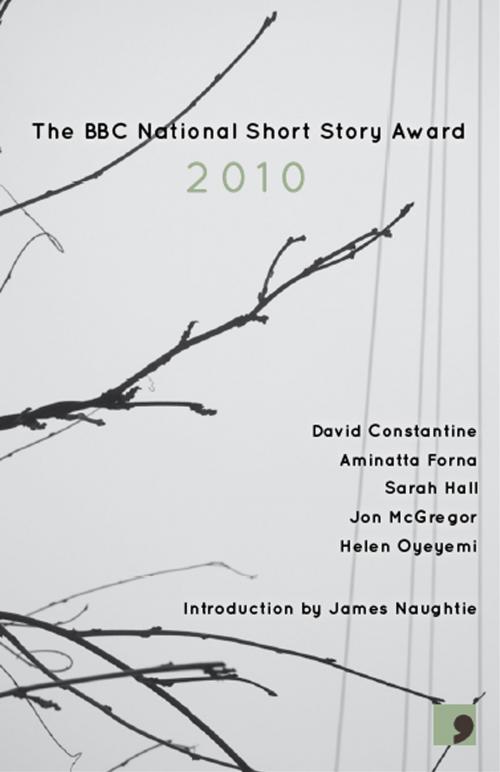 Cover of the book The BBC National Short Story Award 2010 by David Constantine, Sarah Hall, Jon McGregor, Comma Press