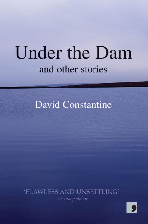 Cover of the book Under the Dam by David Constantine, Comma Press