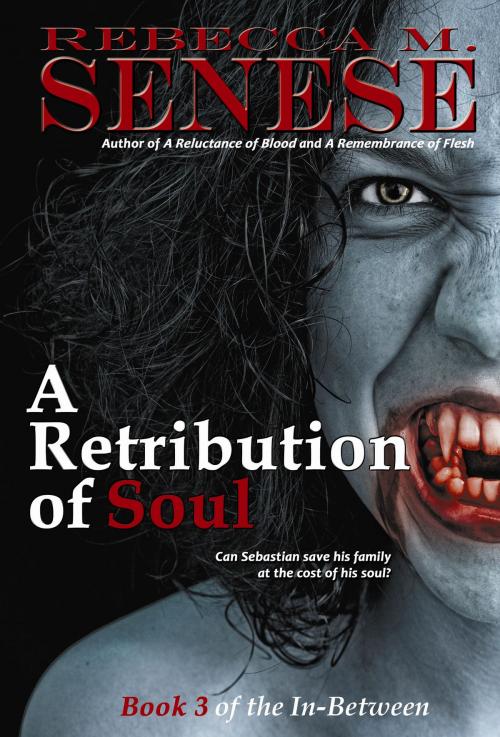 Cover of the book A Retribution of Soul: Book 3 of the In-Between by Rebecca M. Senese, RFAR Publishing