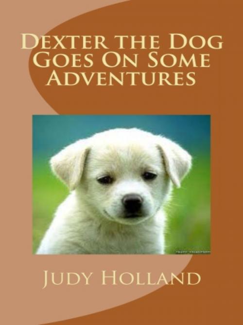 Cover of the book Dexter the Dog Goes On Some Adventures by Judy Holland, Vince Stead