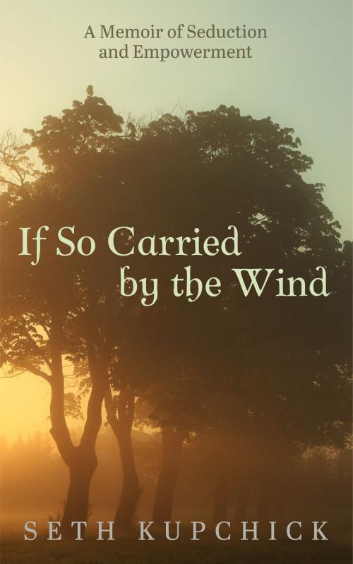 Cover of the book If So Carried by the Wind by Seth Kupchick, Home