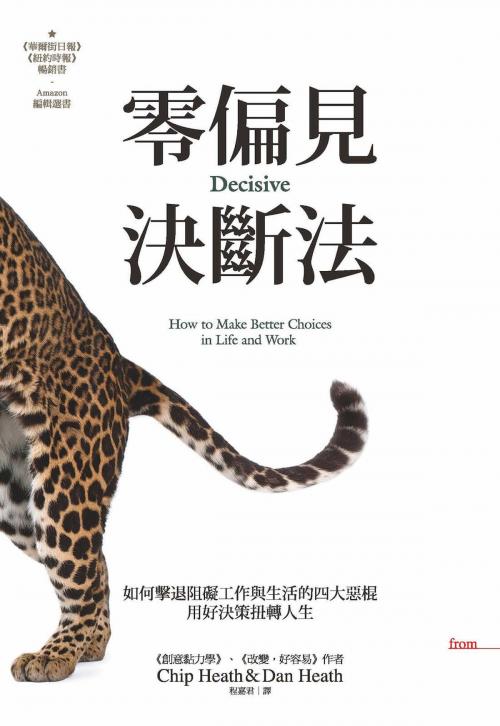 Cover of the book 零偏見決斷法 by 奇普．希思, 丹．希思, 大塊文化