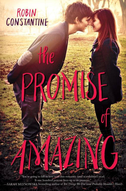 Cover of the book The Promise of Amazing by Robin Constantine, Balzer + Bray