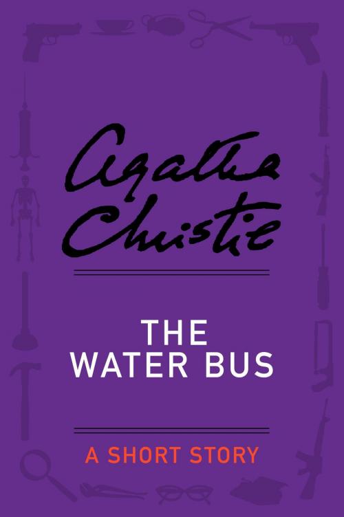 Cover of the book The Water Bus by Agatha Christie, Witness Impulse
