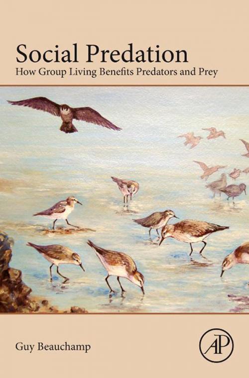 Cover of the book Social Predation by Guy Beauchamp, Elsevier Science