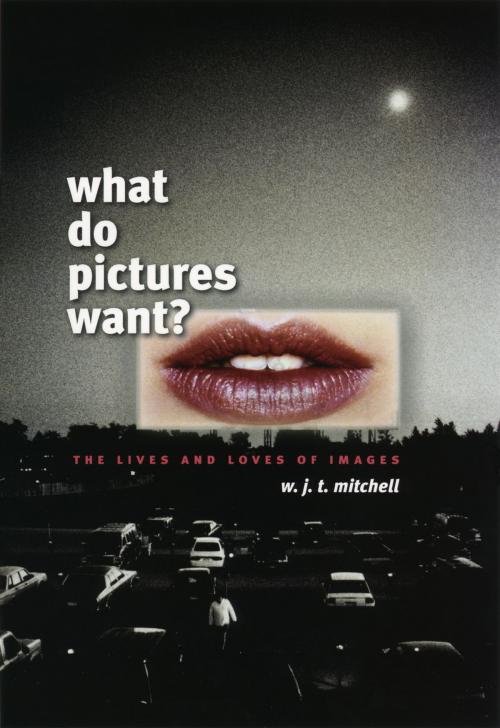 Cover of the book What Do Pictures Want? by W. J. T. Mitchell, University of Chicago Press