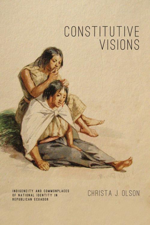 Cover of the book Constitutive Visions by Christa J. Olson, Penn State University Press