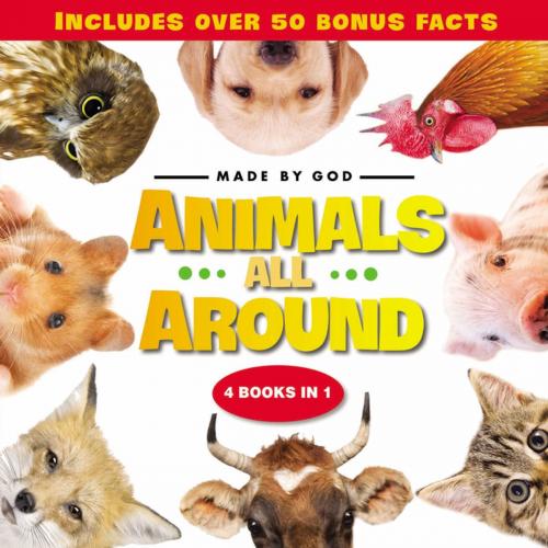 Cover of the book Animals All Around by Zondervan, Zonderkidz