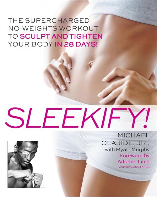 Cover of the book Sleekify! by Michael Olajide, Jr., Myatt Murphy, Random House Publishing Group
