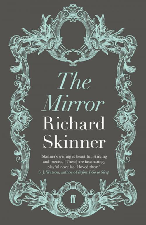 Cover of the book The Mirror by Richard Skinner, Faber & Faber