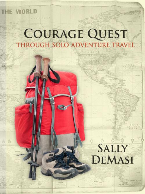 Cover of the book Courage Quest by Sally DeMasi, Sally DeMasi