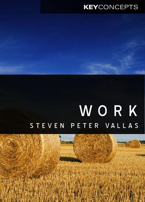 Cover of the book Work by Steven Vallas, Wiley