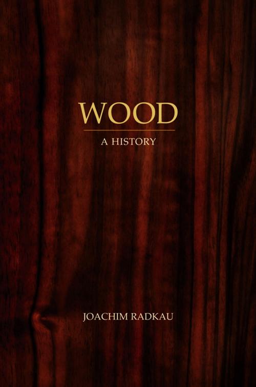 Cover of the book Wood by Joachim Radkau, Wiley