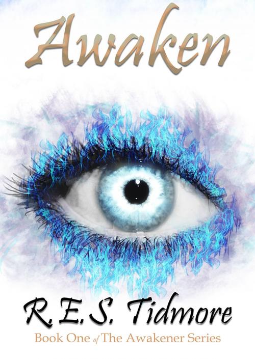 Cover of the book Awaken (The Awakener Series) by R.E.S. Tidmore, R.E.S. Tidmore