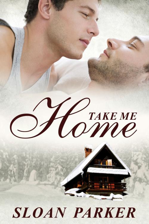 Cover of the book Take Me Home by Sloan Parker, Sloan Parker