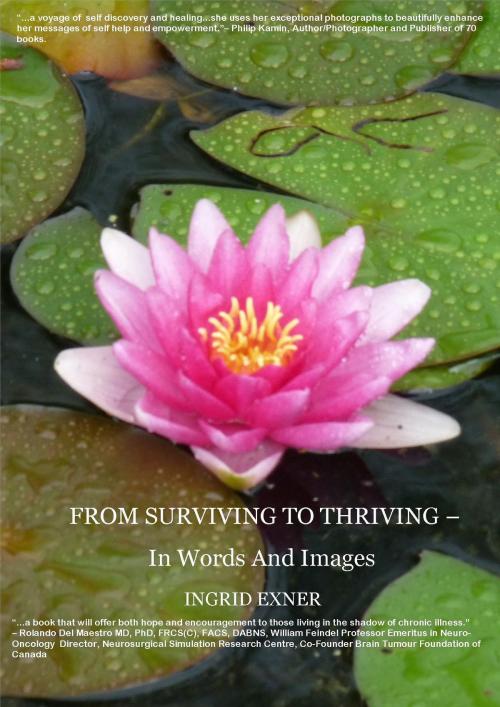 Cover of the book From Surviving To Thriving by Ingrid Exner, Ingrid Exner