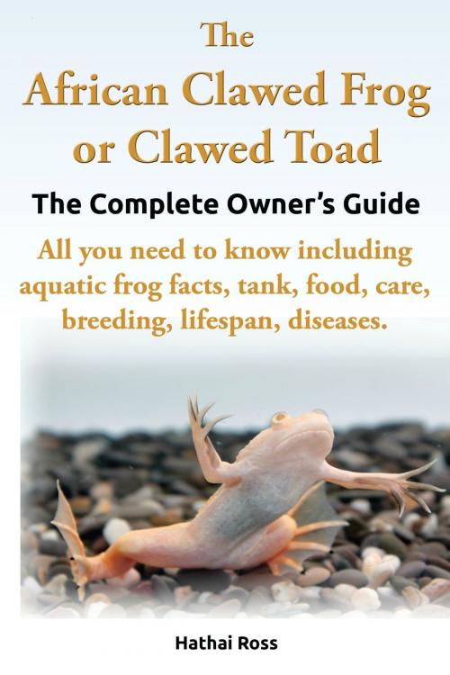 Cover of the book The African Clawed Frog or Clawed Toad, The Complete Owners Guide. by Hathai Ross, Hathai Ross